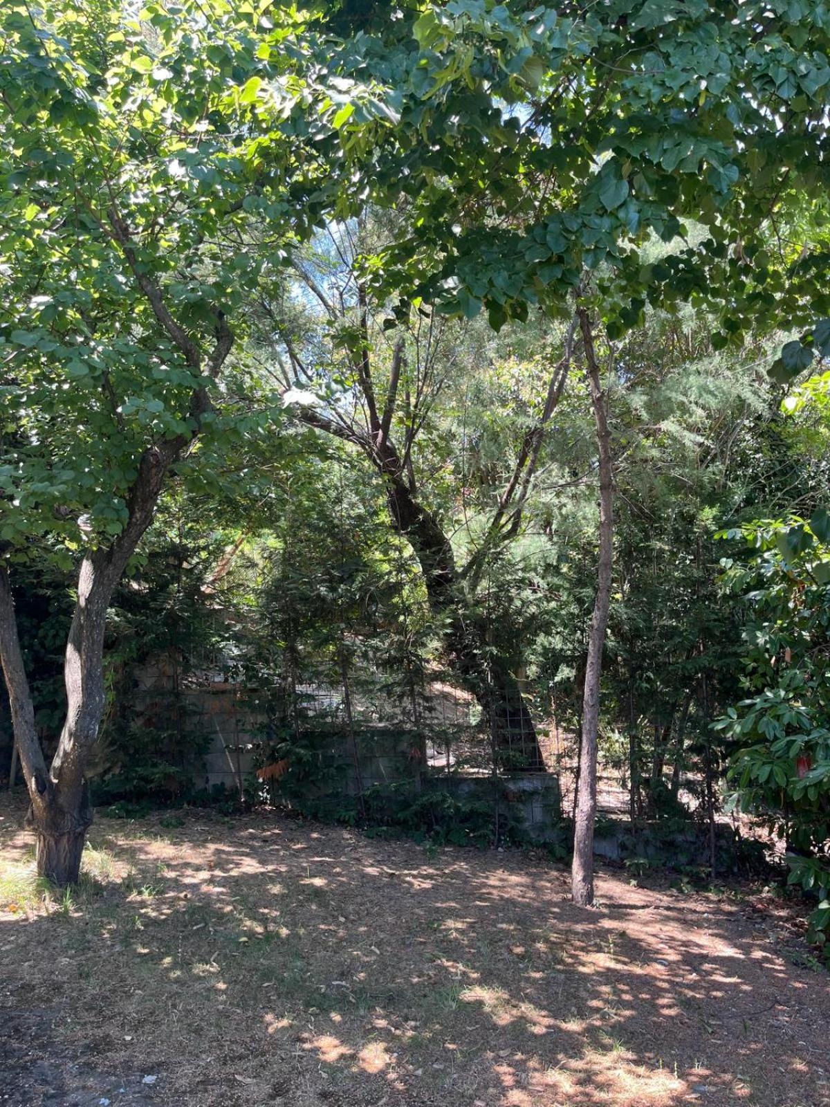 Villetta Panoramica Con Giardino A Riccione Exterior foto